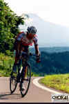 18-08-012.jpg (39502 oCg)