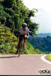 18-08-013.jpg (56393 oCg)