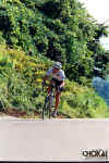 18-08-014.jpg (69754 oCg)