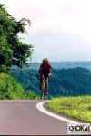 18-10-004.jpg (39413 oCg)