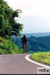 18-10-006.jpg (43866 oCg)