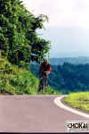 18-10-013.jpg (50985 oCg)