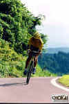18-10-020.jpg (49403 oCg)