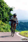 18-11-001.jpg (44023 oCg)