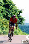 18-11-003.jpg (52790 oCg)