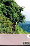 18-11-004.jpg (65316 oCg)