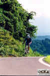 18-11-005.jpg (59529 oCg)