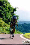 18-11-012.jpg (46320 oCg)