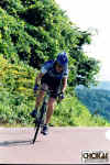 18-12-002.jpg (59492 oCg)
