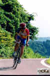 18-12-006.jpg (49201 oCg)