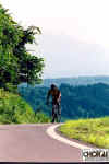 18-12-011.jpg (42774 oCg)
