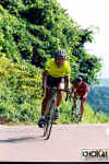 18-12-032.jpg (62298 oCg)